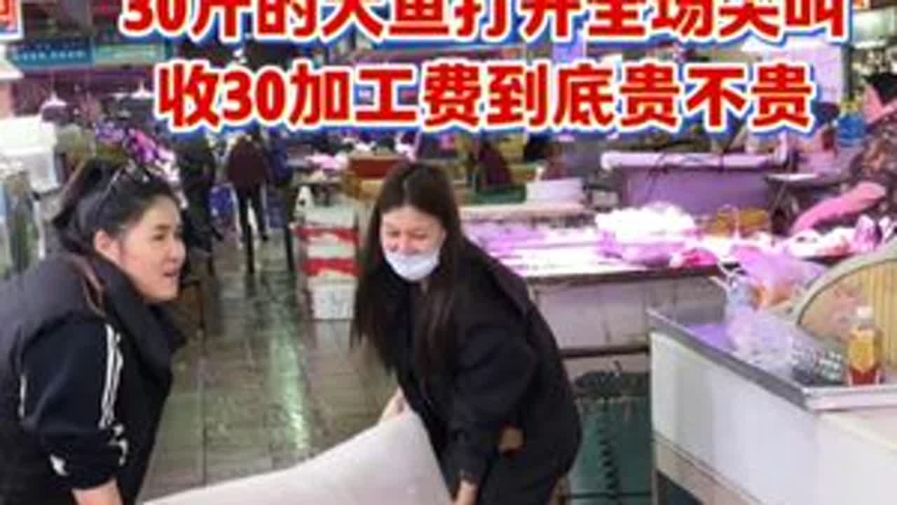 俩美女抬30斤大靓货来加工，打开后全场尖叫。 #菜市场 #杀鱼技术 #厨房菜刀