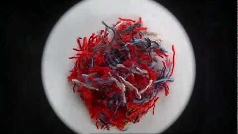 Nokia N8 -- The world