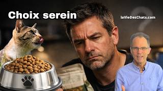 VOUS FAITES CETTE ERREUR SUR L'ALIMENTATION DE VOTRE CHAT (ET VOICI COMMENT L'ÉVITER)