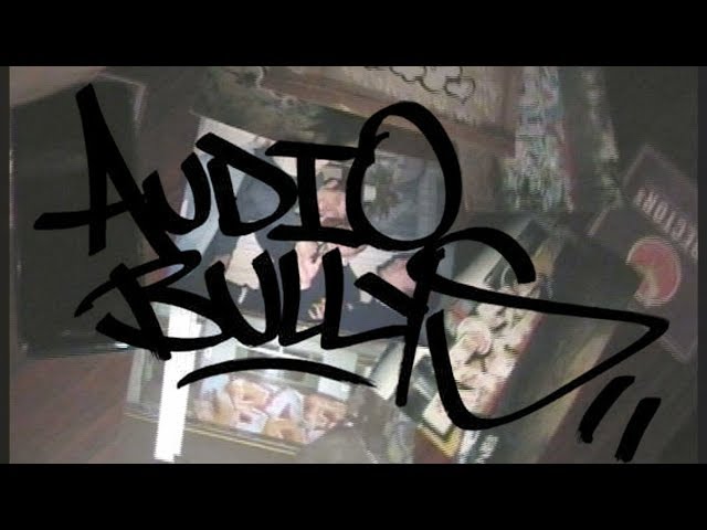 Audio Bullys - The Scene