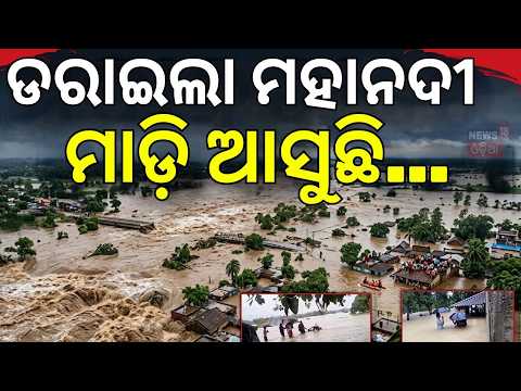 ଡରାଇଲା ମହାନଦୀ | Mahanadi Flood Alert in Puri | Daya, Rajua & Makara Rivers Rising | Farmers in Fear