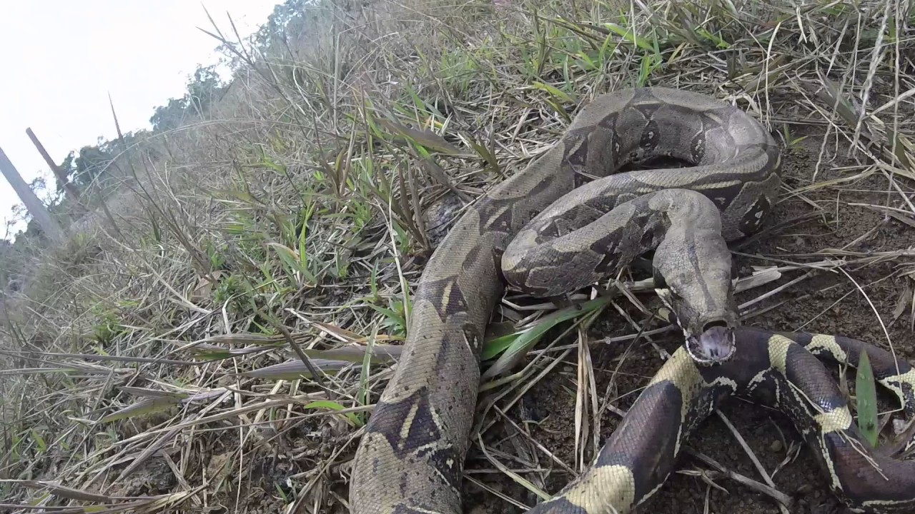 Cuanto Cuesta Un Quintal De Cemento En Ecuador