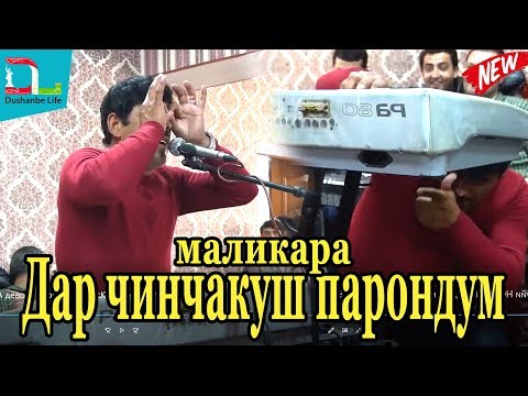 КАДАМИ КУРБОН-  НОРАКА ДЕВОНА КАД -2019