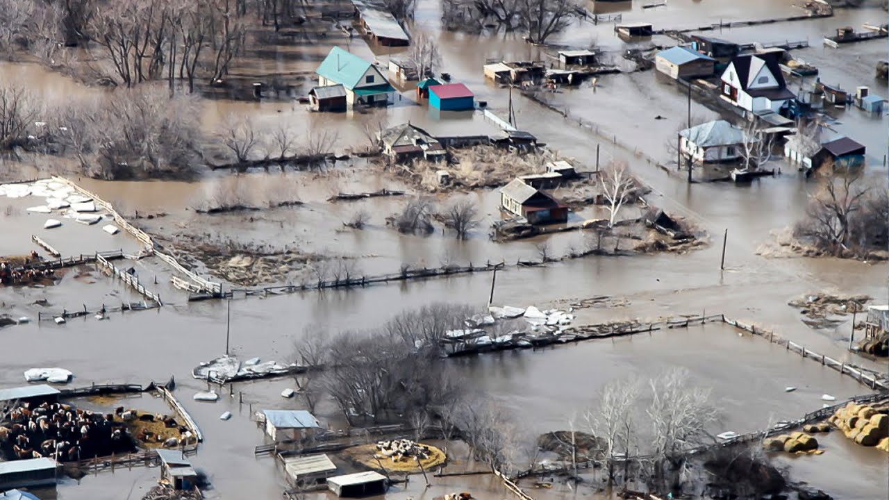 Под воду ушли десятки автодорог и садовых участков. Подмосковье тонет из-за паводков