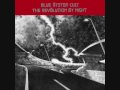 (Don't Fear) The Reaper - Blue Öyster Cult (1976)