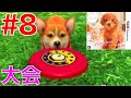 #8 ディスクドッグ大会アマチュアカップに挑戦！【ニンテンドッグス+キャッツ】