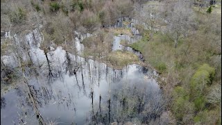 Expedition. Enormous  BEAVER dam. Drone footage. Abandoned hand made alcohol factory.
