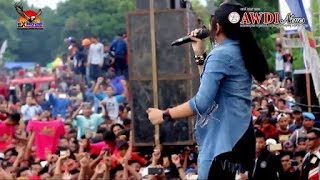 NEW PALLAPA   LIVE WIDURI PEMALANG   NEW ALBUM