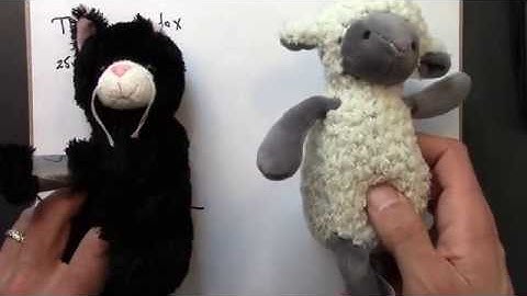 Relativity 05.14.  Twin Paradox: Part II