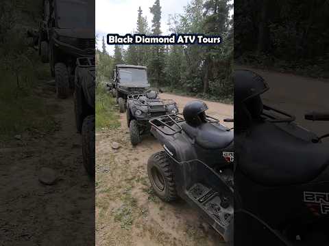 Day in Denali