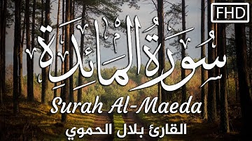 سورة المائدة كاملة|| تلاوة هادئة تريح الاعصاب💚القارئ بلال الحموي ||Surah Al-Maeda