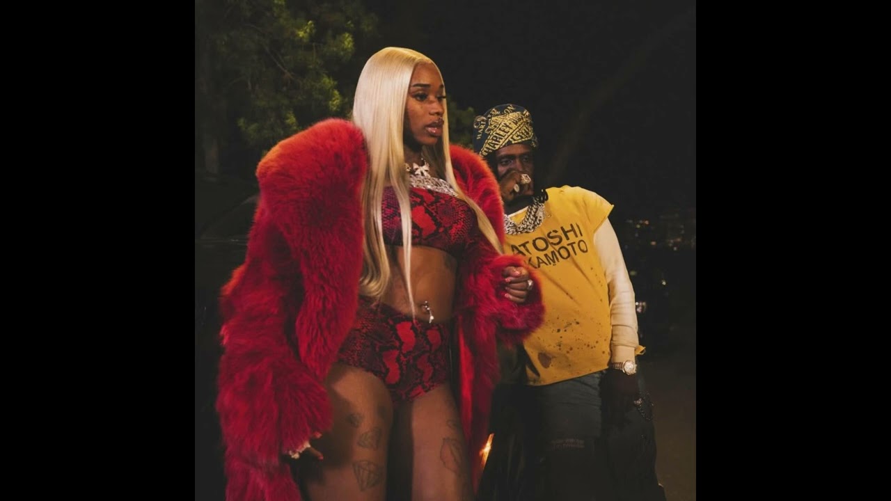 [FREE] Sexyy Red x Chief Keef x Shawn Ferrari Type Beat “Hood