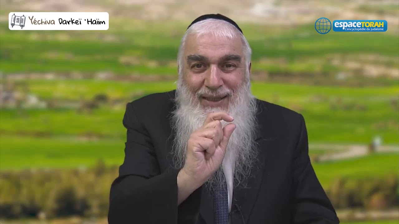 202. L'affection : le module de transmission de la Torah