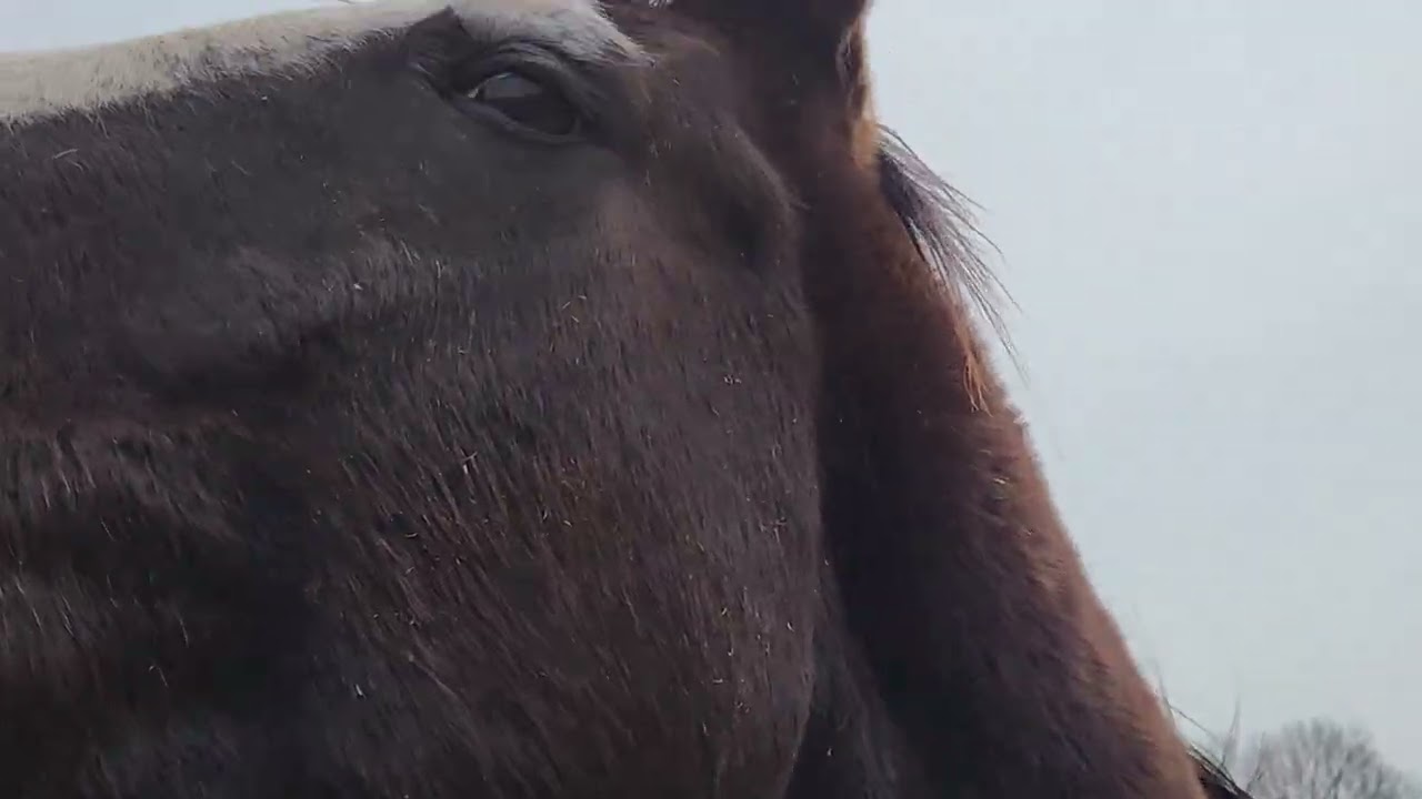 Blankets Off The Babies