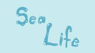 Sea Life Morph | METU