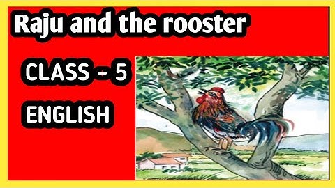 class 5 english raju and the rooster| odia medium class 5 English topic Raju and the rooster
