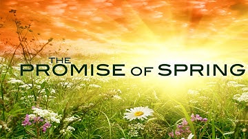 The Promise Of Spring | Relaxing Piano Music by Mark Maxwell