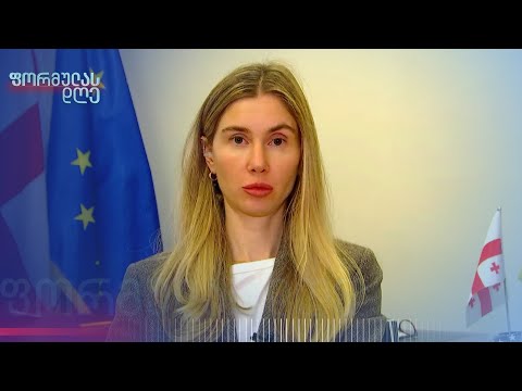 თინა ბოკუჩავა მიხეილ სააკაშვილის ინიციატივაზე | „ფორმულას დღე“