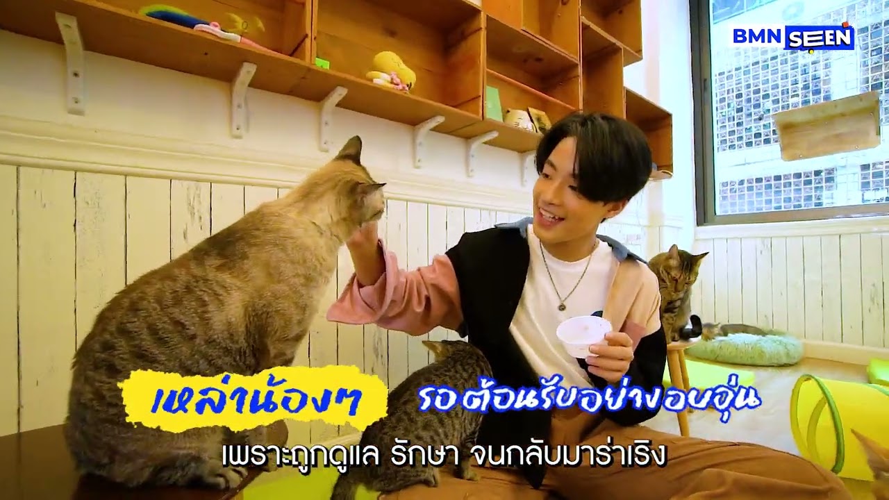 BMN SEEN : โดนใจทาสแมว เที่ยวคาเฟ่ติดรถไฟฟ้า MRT