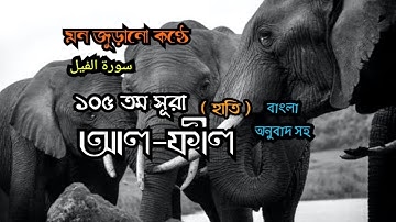 Surah 105) মধুর সুরে সূরা আল ফিল سورة الفيل | Surah Al Fil with Bangla translation |Zain abu kautsar