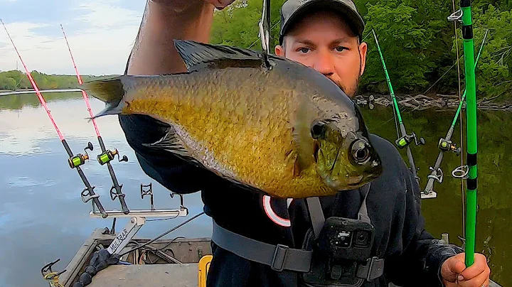 TIPS To Help You Catch MORE Daytime Flathead Catfish!!