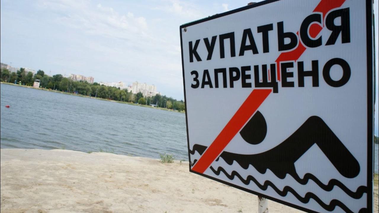 Почему нельзя плавать где утки