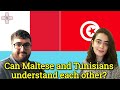 Similarities Between Maltese and Arabic (Tunisian Dialect)