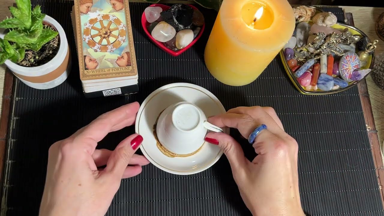 Чашка дня‼️