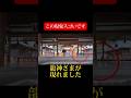 龍田大社 オーヴ #Shorts