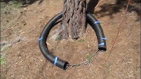 Hoisting a Climbing Rope Into A Tree With No Branches