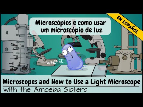 Video: ¿Cuándo usarías un microscopio estereoscópico?