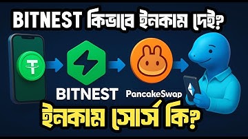 Bitnest কিভাবে এত ইনকাম দেই? Bitnest এর ইনকাম সোর্স কি? Bitnest কতটা সিকিউরিটি যুক্ত?What is bitnest