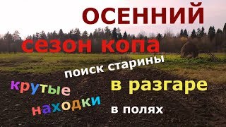 Приборный поиск на распаханных полях. Старинные находки у деревней. Хабар, монеты, церковная утварь.