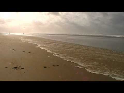 Cornwall Coast at Sandy Mouth victor parker video