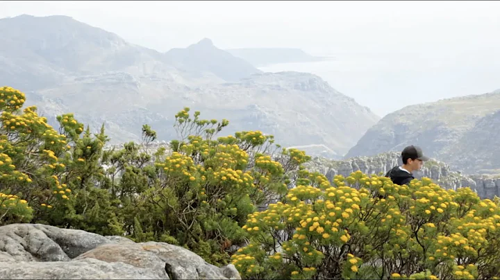 PHEO.  A documentary by Hannah Hansen & Abi Nielso...
