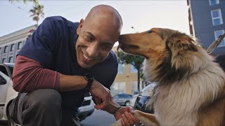 Dr. Kwane Street Work in San Francisco