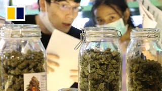 Thailand to outlaw marijuana by end of 2024