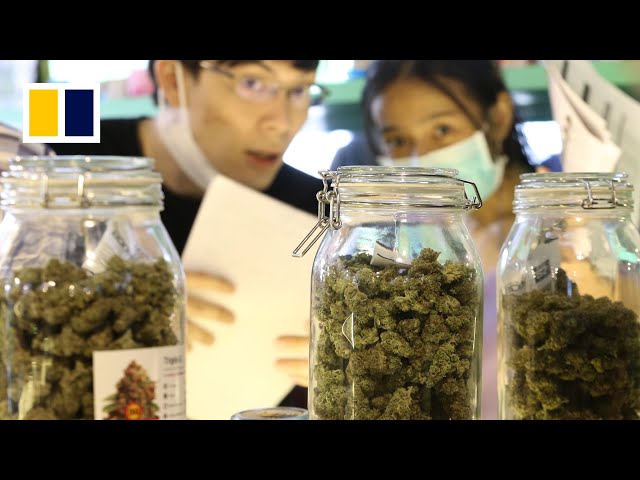 Thailand to outlaw marijuana by end of 2024 class=