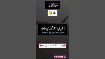 #الله #ماشاءالله #تلاوة #القرآن_الكريم #سورة_التين #اكسبلور ☪️😘😊 #subscribe #islam #viewsproblem#fyp