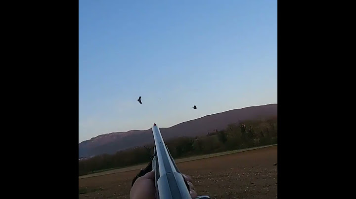Ovçu belə olare : Avçı : hunter Охотник