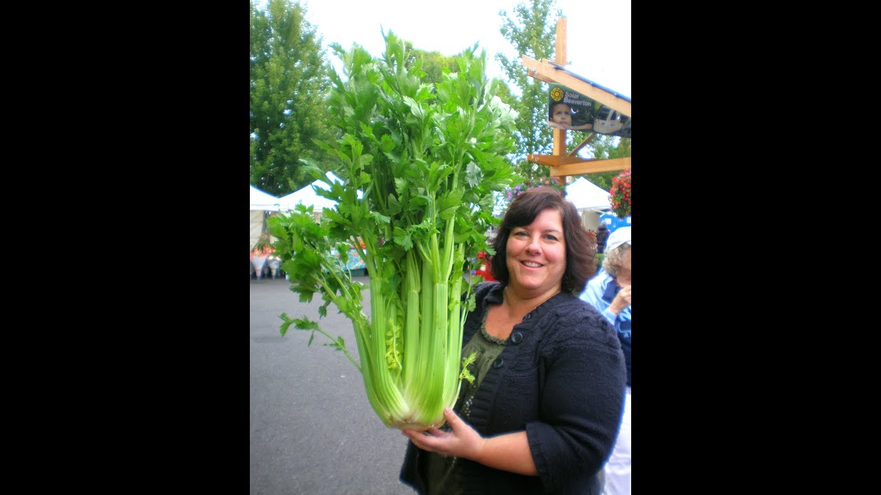 تحدى اكبر كرفسة فى العالم وكمان تفريزها بافضل طريقة ! biggest celery