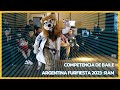 Sofa ram  competencia de baile de argentina furfiesta arff 2023