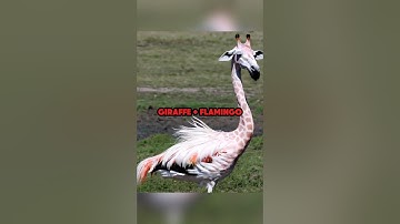 Sora AI text to video generator is scary😱 #jumpersjump #podcast #scary #mystery #openai #soraai