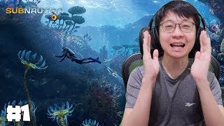 Raft Tapi Dalam Laut - Subnautica [SUB INDO] #1