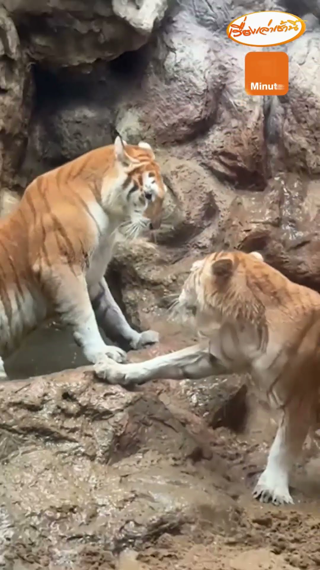 “น้องเอวา” โชว์ความน่ารัก วันหยุดแฟนคลับแห่ชม
