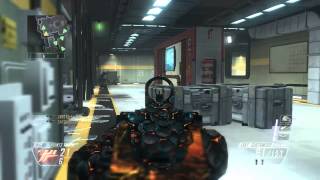 Asthenicfern07 - Black Ops Ii Game Clip