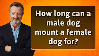 How long can a male dog mount a female dog for?