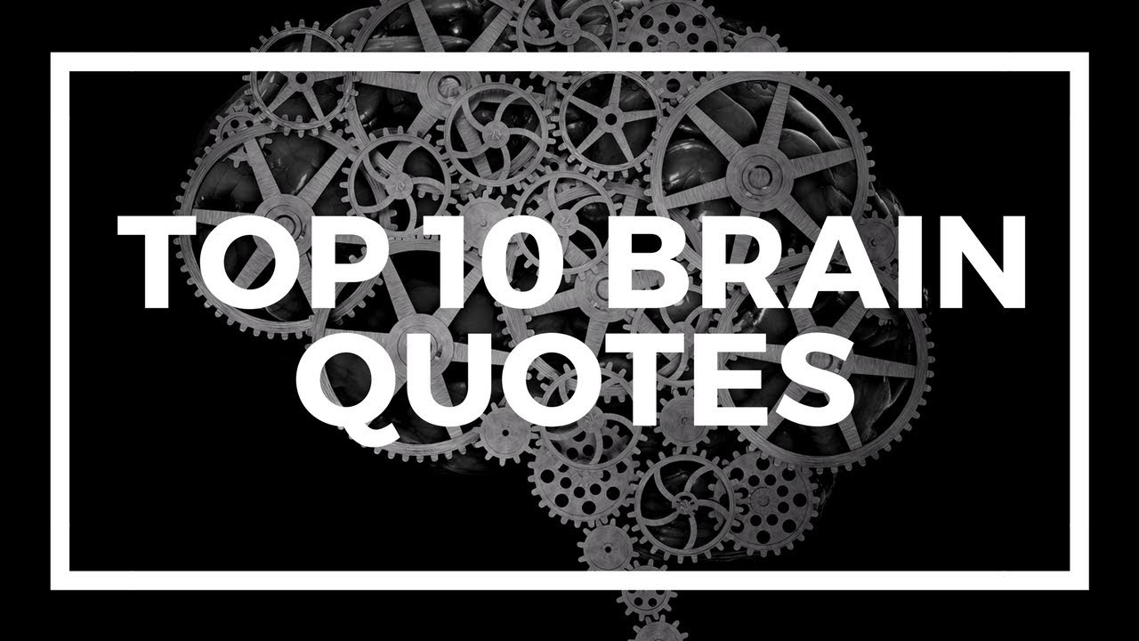 Quotations About Brain