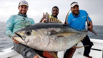 Cá Mập Cướp Cá Ngay Trước Mặt : Anh Thợ Câu Luôn Cá Mập Bò 150kg Kéo Lên Bờ