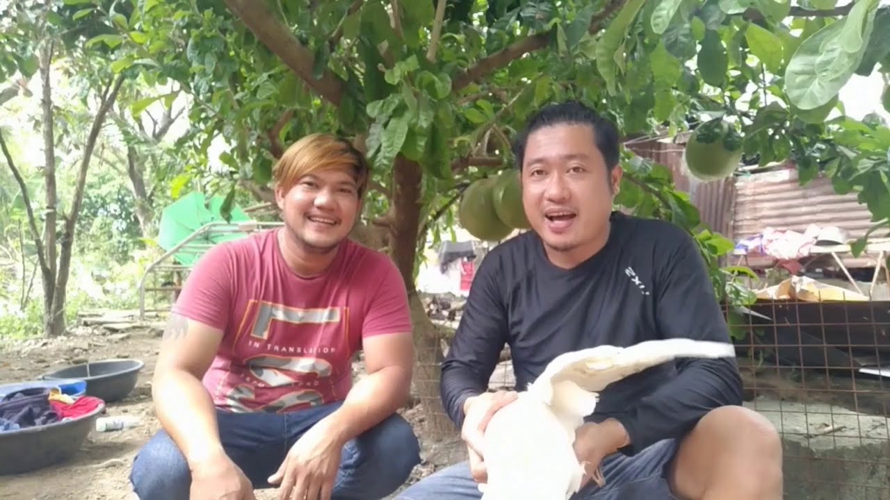 PAANO MAG LUTO NG DINUGUANG BIBE